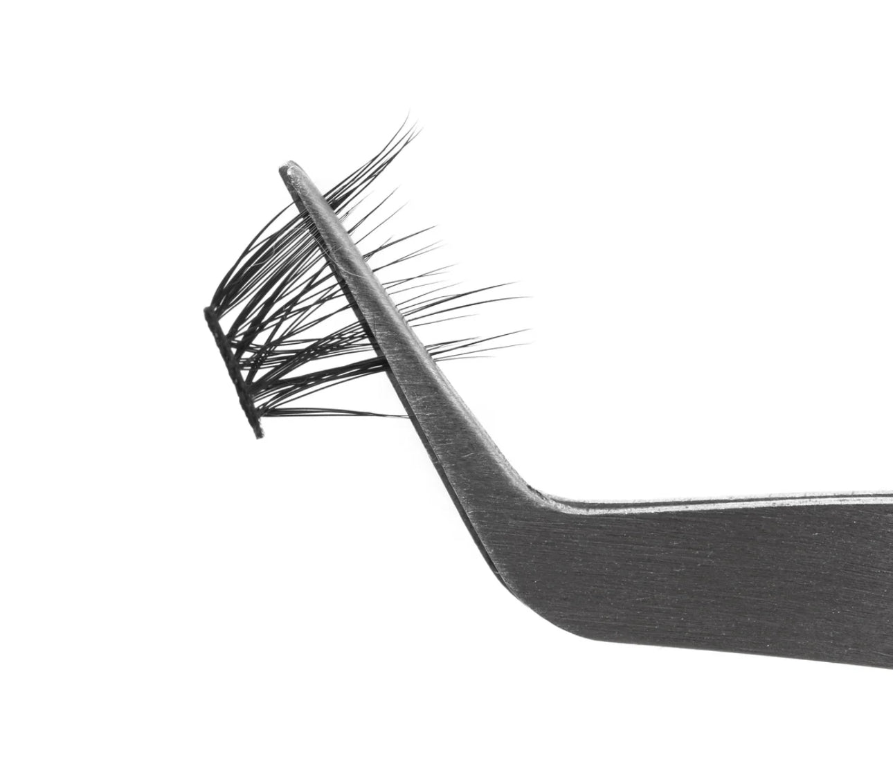 BC Cluster Lashes in Soft Glam