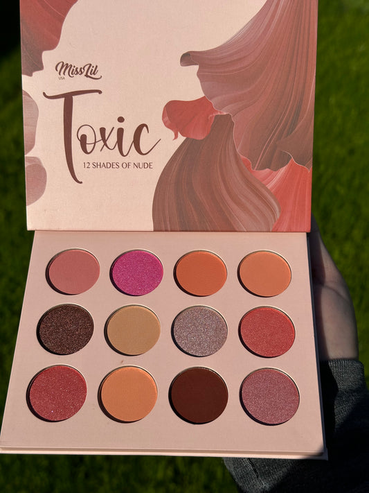 Toxic 12 color eyeshadow Palette